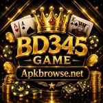 BD345 Game