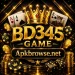BD345 Game