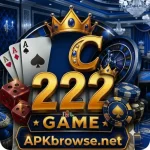 C222 Game