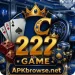 C222 Game